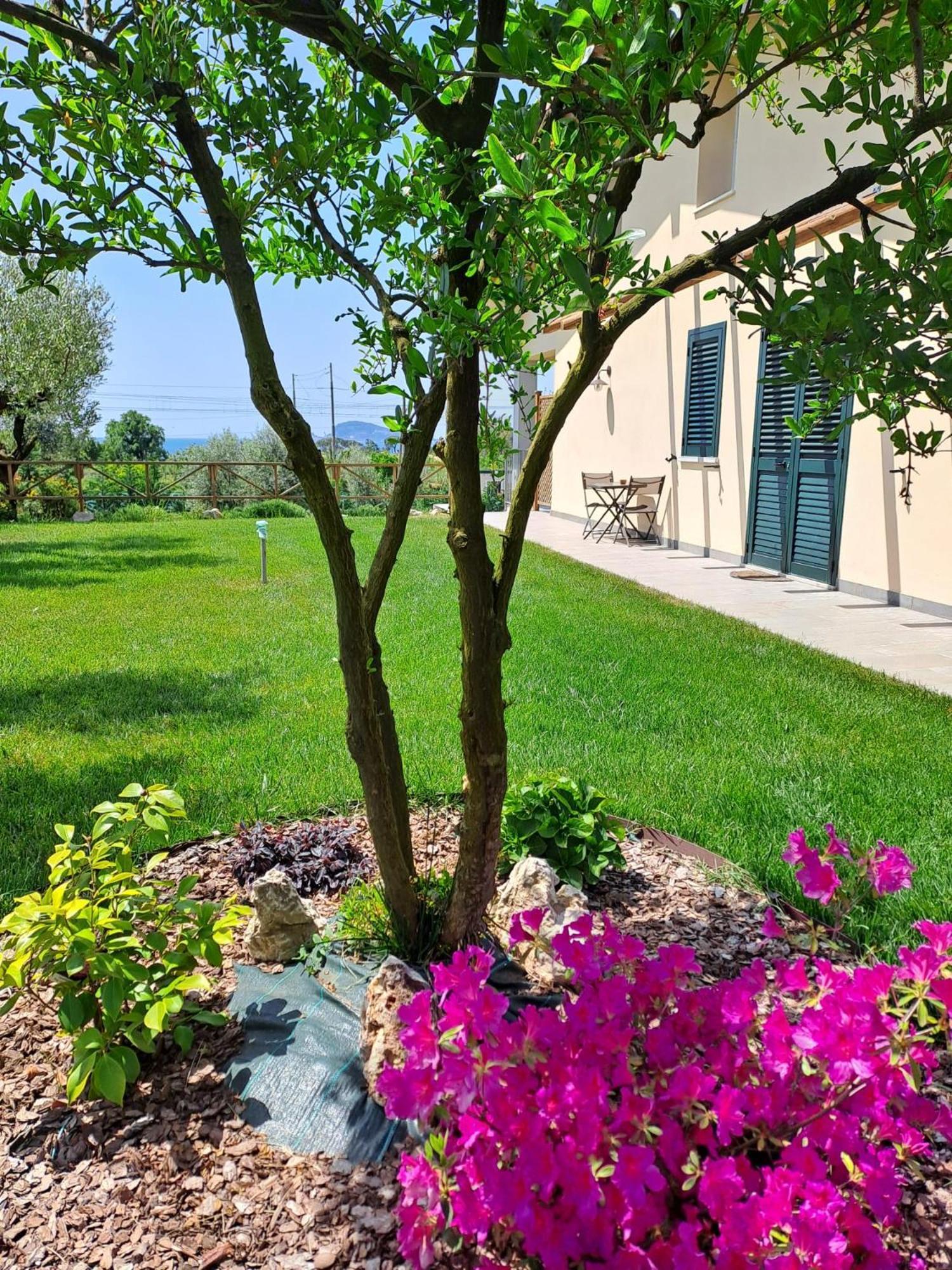 Bed and Breakfast La Campagna Di Peppe E Tullia Formia Exterior foto