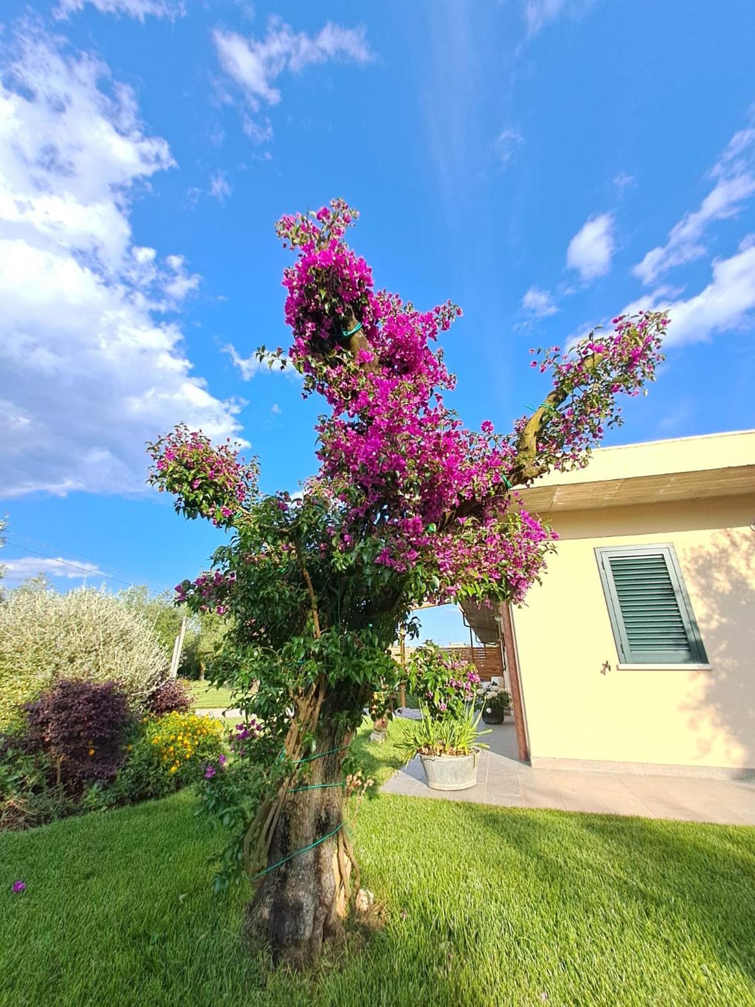 Bed and Breakfast Bed & Breakfast La Campagna Di Peppe E Tullia Formia Exterior foto